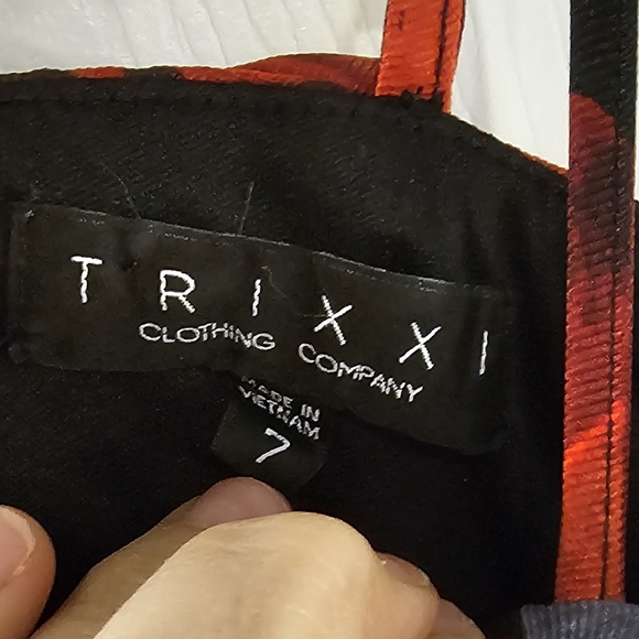 TRIXXI mini Rose's Ruffle dress - Picture 3 of 3